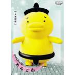 45 【あんこ山】BBM2025 大相撲カード「和」レギュラー [マスコット]