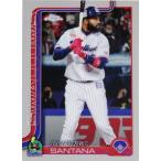 176 【Ｄ.サンタナ/東京ヤクルトスワ