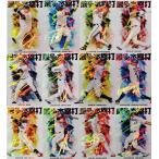 [ команда книга@. удар . карта ( тент parallel версия )/ все 12 вид ] Calbee 2026 Professional Baseball chip s 1 