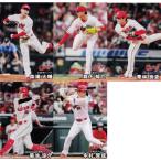 [ Hiroshima Toyo Carp ] Calbee 2026 Professional Baseball chip s 1 [ команда другой постоянный полный комплект ] все 5 вид ( название держатель. за исключением )