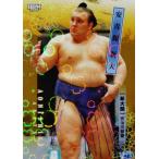 4 【安青錦 新大】BBM2026 大相撲カード レギュラーパラレル