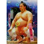 ショッピング大相撲 13 【宇良 和輝】BBM2026 大相撲カード レギュラーパラレル