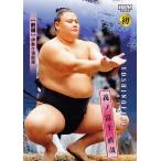 16 【義ノ富士 直哉(初)】BBM20