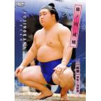 ショッピング大相撲 30 【藤ノ川 成剛】BBM2026 大相撲カード レギュラー