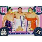 85 【義ノ富士＆藤ノ川＆琴栄峰】BBM