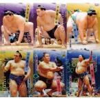 ショッピング大相撲 【フルコンプリートセット/全146種】BBM2026 大相撲カード (レギュラー90種＋パラレル56種)