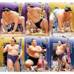 ショッピング大相撲 【レギュラーコンプリートセット/全90種】BBM2026 大相撲カード