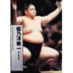 13 【栃乃洋 泰一】BBM 1997 大相撲カード レギュラー
