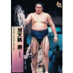 43 【旭天鵬 勝】BBM 1997 大相撲カード レギュラー