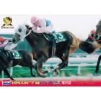 NS039 【ミルフォードスルー】199