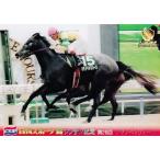 NS040 【マヤノペトリュース】199