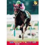 NS043 【メイショウテゾロ】1998