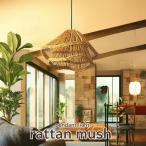  подвесной светильник модный ротанг resort мир современный потолочный светильник осветительное оборудование 1 ламповый светильник Asian шероховатость Гаваи шероховатость способ wai - современный потолочный светильник / ротанг mash 