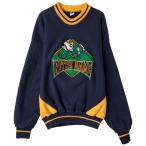 古着 90年代 The Game ノートルダム大学  ファイティングアイリッシュ カレッジ スウェットシャツ トレーナー メンズL相当 /eaa459910