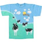 古着 90年代 BEN&JERRY'S ベンジェリーズ アドバタイジングTシャツ メンズS相当 ヴィンテージ /eaa550341 【SS2509_10】