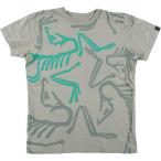 古着 アークテリクス ARC'TERYX 大判プリント 半袖 プリントTシャツ メンズM相当 /eaa554048