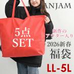 ショッピング福袋 2026年新春福袋 大きいサイズ レディース 新作アウター入り おまかせ5点入り 初売り ハッピーバッグ 全国送料無料