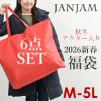 ショッピング15号 2026年新春福袋 大きいサイズ レディース ロング丈アウター入り おまかせ6点入り 初売り ハッピーバッグ 全国送料無料