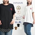 胸元刺繍Tシャツ 大きいサイズ レディース メール便送料350円 半袖 Uネック ハートモチーフ 接触冷感 トップス cotton100 LL 3L 4L