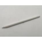 [ б/у ]Apple Apple Pencil( no. 2 поколение ) MU8F2J/A[OSU301] гарантийный срок 1 неделя 