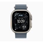 [ не использовался ]Apple Apple Watch Ultra3 49mm Cellular натуральный титан кейс / якорь голубой Ocean частота MEWH4J/A[ сэндай i- beans ] гарантийный срок 3 месяцев 