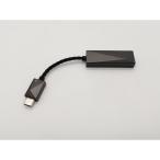 [ б/у ]iriver Astell&amp;Kern PEE51-USBC-AMPCABLE[ осень лист 2 номер ] гарантийный срок 1 месяцев [ разряд A]