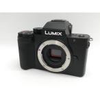 PANASONIC LUMIX DC-G100