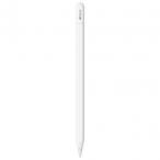 [ не использовался ]Apple Apple Pencil(USB-C) MUWA3ZA/A[ Kumamoto ] гарантийный срок 1 неделя 