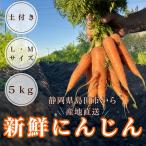  морковь M/L размер 5kg морковь JA свежий морковь сок Shizuoka префектура прекрасный тест ..