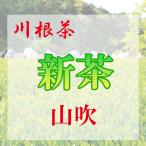 新茶【川根茶】山吹　【発送予定日：5月中旬〜】