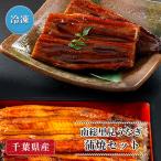 国産 南総里見うなぎ蒲焼きセット うなぎ蒲焼（特大）×1  肉厚うなぎ蒲焼2切×2 日本産 養殖 鰻 ウナギ 蒲焼き カバ焼き かば焼き 冷凍 千葉県 鋸南町