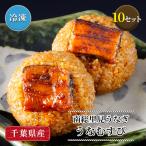 南総里見うなぎ 国産うなぎのおにぎり うなむすび 10個セット 国産 日本産 養殖 うなぎ ウナギ 蒲焼き カバ焼き かば焼き 冷凍 オニギリ 千葉県 鋸南町