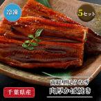 国産 南総里見うなぎ 肉厚かば焼き2切 約100g(真空冷凍)×5食セット 国産 日本産 養殖 鰻 ウナギ 蒲焼き カバ焼き かば焼き 冷凍 千葉県 鋸南町 母の日ギフト