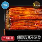 国産 南総里見うなぎ うなぎの蒲焼き 3尾 セット 国産 日本産 養殖 鰻 ウナギ 蒲焼き カバ焼き かば焼き 冷凍 千葉県 鋸南町 母の日ギフト 贈り物