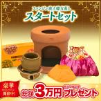 ファンジン 黄土韓方蒸し スタートセット よもぎ蒸し 自宅