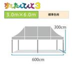 かんたんてんと3 スチール＆アルミ複合 (3.0m×6.0m)(標準色)