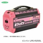 新商品 日動工業（株）  AC100V ポータブル電源ピンバン LPE-R250L  （MAX250W）　JAN：4937305057759