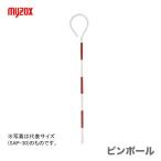 マイゾックス　ピンポール 60cm×6φ　SAP-60　JAN：4938514320047