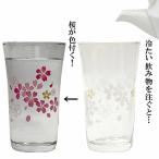 冷たいものを注ぐと桜が色付く 冷感 タンブラー 温度変化 桜の花 ビアタンブラー 贈り物 日本酒 冷酒 ビール ジュース 父の日 母の日 敬老の日 お祝い 送料無料