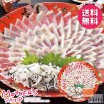 母の日 2026 プレゼント 花以外 食品 グルメ 魚介類 ギフト セット とらふく 刺身 てっさ フグ刺し 母の日ギフト おしゃれ かわいい 人気