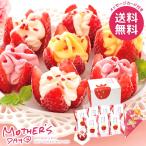 母の日 2026 プレゼント 花以外 スイーツ お菓子 ギフト セット 博多あまおう 花いちごのアイス 食品 母の日ギフト おしゃれ かわいい 人気
