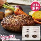 母の日 2026 プレゼント 花以外 食品 グルメ ギフト セット 肉惣菜 松阪牛 31% 生ハンバーグ 冷凍 母の日ギフト おしゃれ かわいい 人気