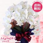 母の日 2026 プレゼント 花 ギフト アートフラワー 造花 大輪 胡蝶蘭3本立ち ホワイトイエロー 鉢花 母の日ギフト おしゃれ かわいい 人気