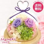 母の日 2026 プレゼント 花 ギフト プリザーブドフラワーハート ガラスドーム パープル 枯れない花 母の日ギフト おしゃれ かわいい 人気 B38560