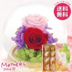 母の日 2026 プレゼント 花 ギフト プリザーブドフラワー 花 スイーツ セット ドーム希 花束のデザート 母の日ギフト おしゃれ かわいい 人気