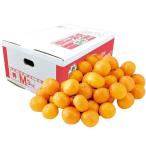  подарок по случаю конца года . лет .2025 фрукты подарок Kumamoto префектура производство небо вода мандарин примерно 3kg комплект фрукты mi can меласса ... ваш заказ гурман еда бесплатная доставка 