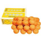  подарок по случаю конца года . лет .2025 фрукты подарок Wakayama префектура производство Arita мандарин примерно 5kg комплект фрукты mi can меласса ... ваш заказ гурман еда бесплатная доставка 
