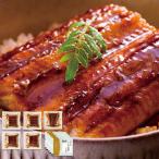  подарок по случаю конца года . лет .2025 ежедневное блюдо морепродукты подарок угорь приятный Kyushu производство ..... порез .5 шт. комплект уголь огонь угорь угорь cut рефрижератор высококлассный ваш заказ гурман еда бесплатная доставка 