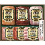 お歳暮 御歳暮 2025 ハム ギフト 伊藤
