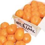  подарок по случаю конца года . лет .2025 фрукты подарок Daiwa .. Arita мандарин .. иметь Denden . эксперт мандарин примерно 2.5kg комплект фрукты плоды mi can ... местного производства гурман еда бесплатная доставка 